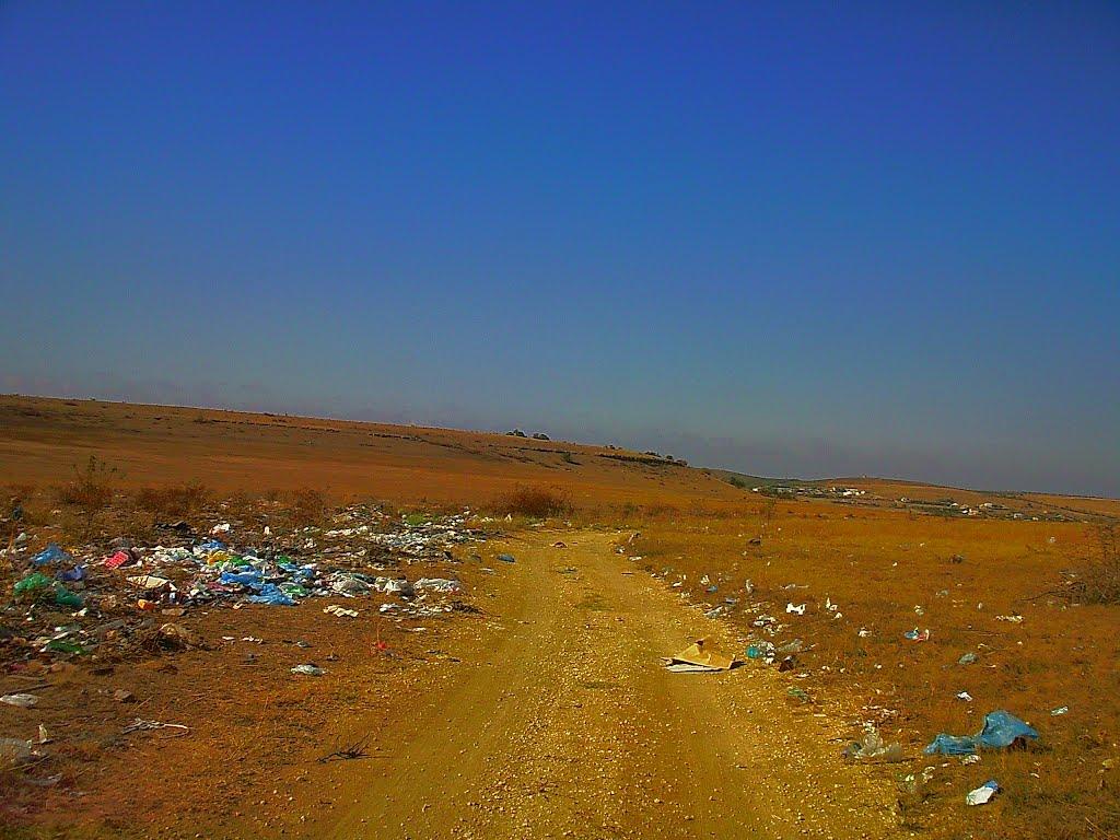 Каштани з panoramio.com - Каштани