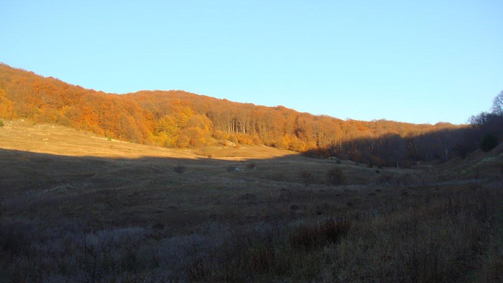 Генеральське з panoramio.com (ч.3) - Generalske