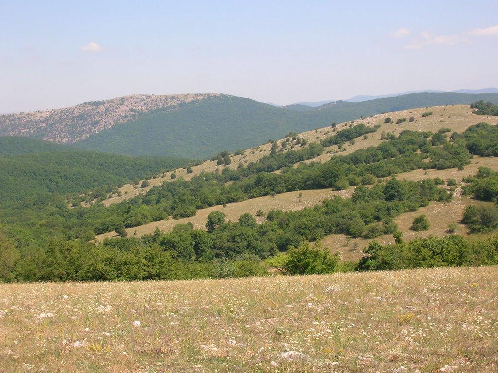 Санаторне з panoramio.com - Санаторное