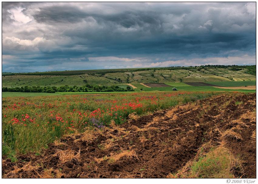 Чижове з panoramio.com - Чижове
