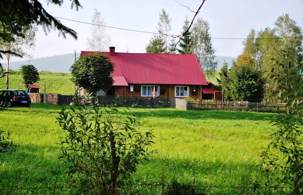 Лопушанка з panoramio.com - Лопушанка