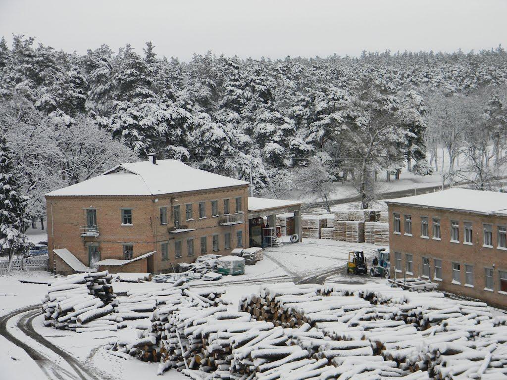 Олександрівка з panoramio.com - Александровка