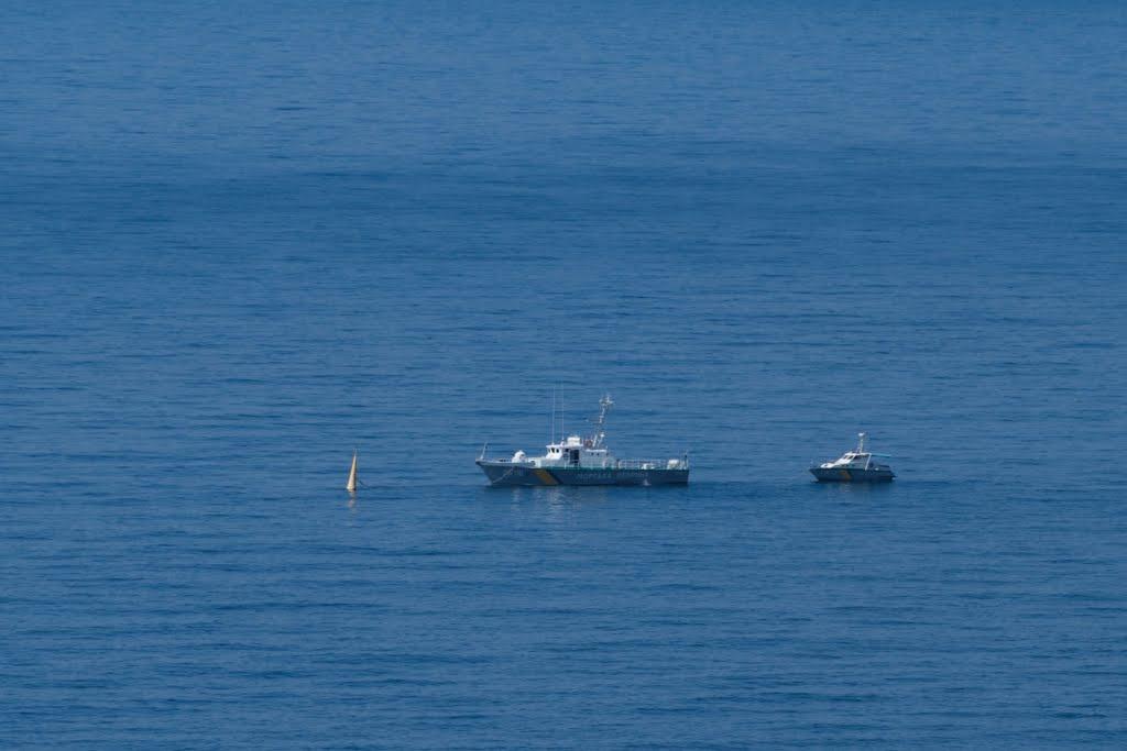 Олива з panoramio.com - Олива