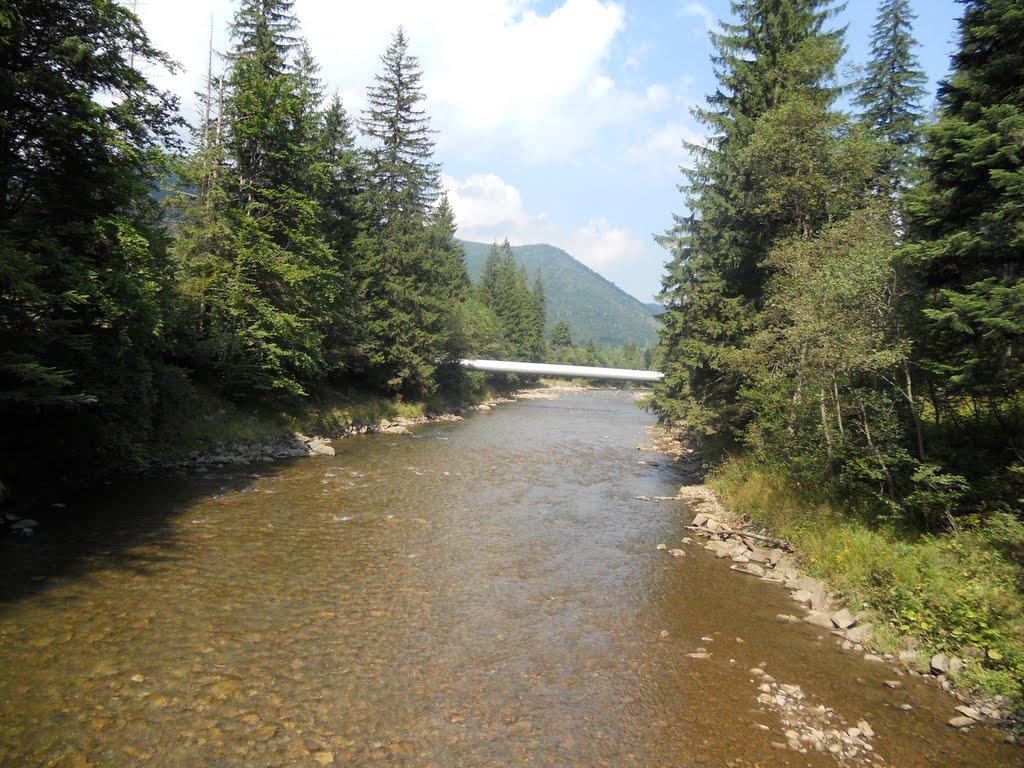 Осмолода з panoramio.com (ч.2) - Осмолода