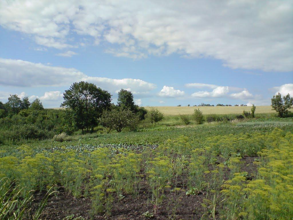 Костянтівка з panoramio.com - Костянтівка