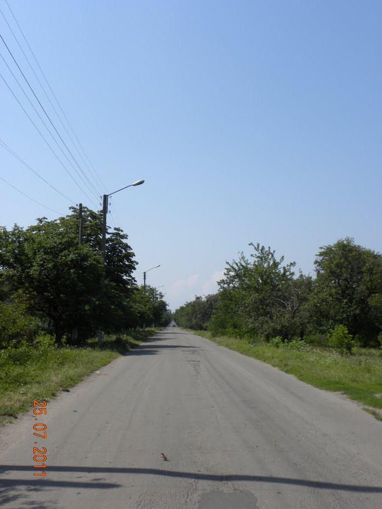 Вереміївка з panoramio.com - Веремиевка