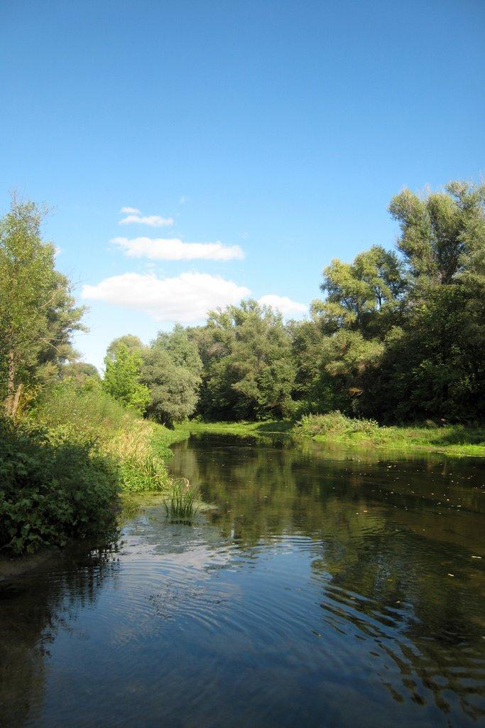 Юганівка з panoramio.com - Юганівка