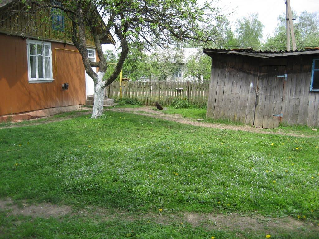 Волосів з panoramio.com - Волосів