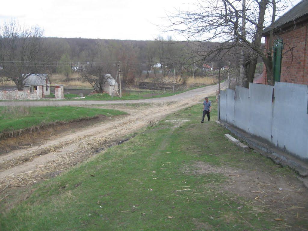 Нижній Бишкин з panoramio.com - Нижній Бишкин