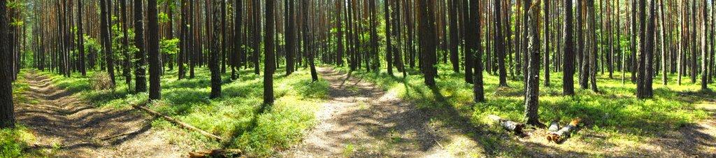 Меньківка з panoramio.com - Меньковка