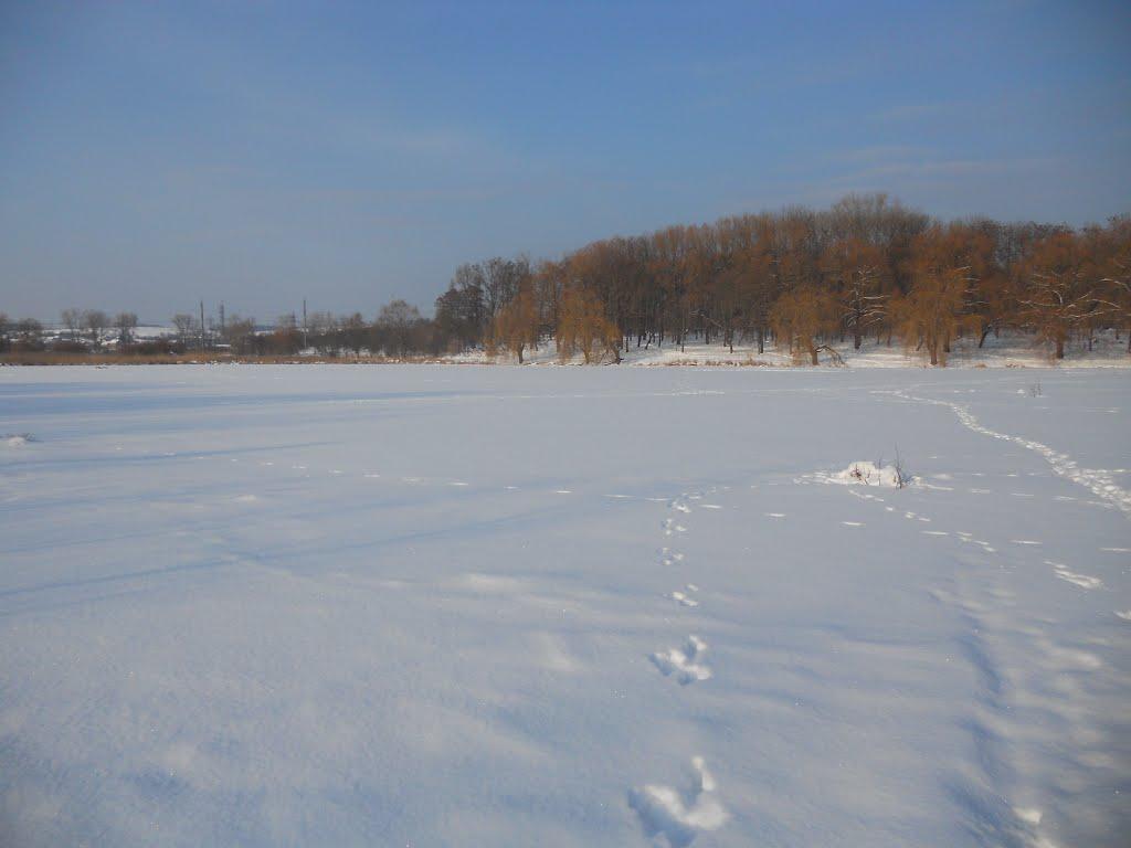 Новий Розділ з panoramio.com - Новый Роздол