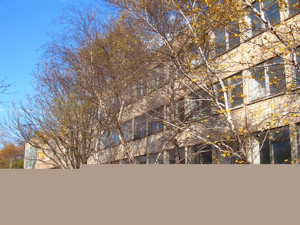 Дмитрашківка з panoramio.com - Дмитрашківка