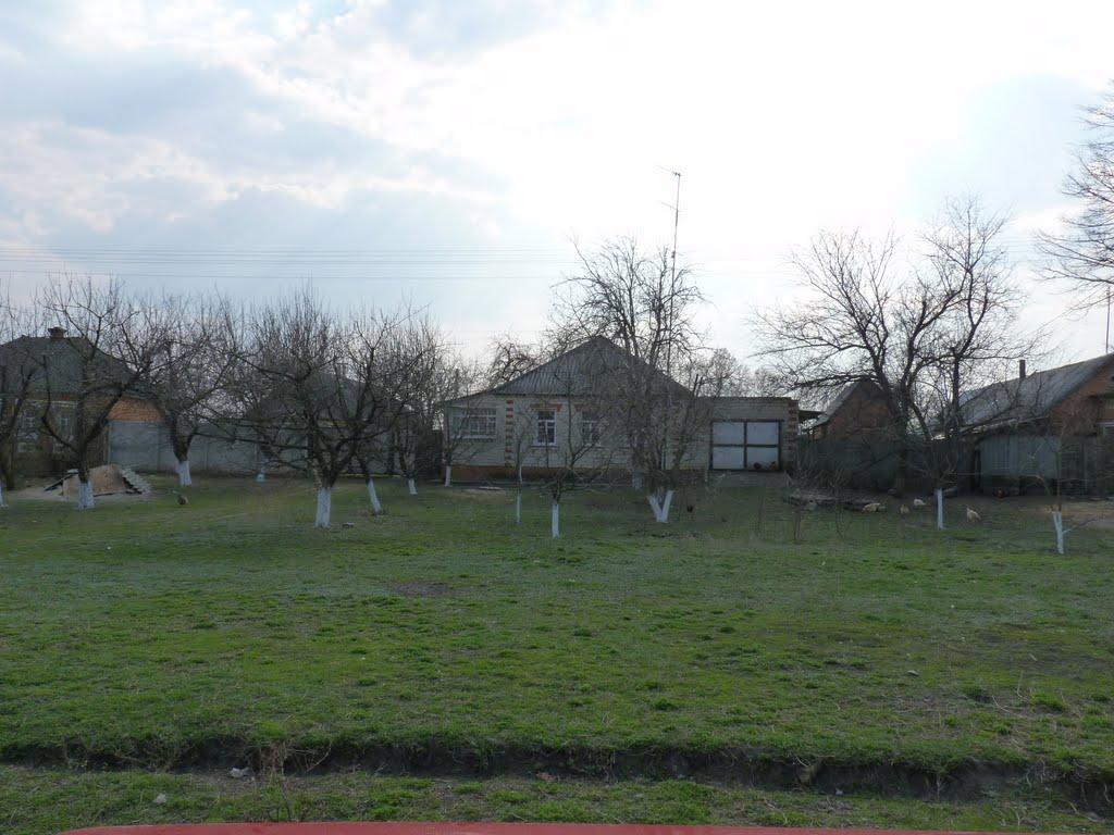 Мурафа з panoramio.com - Мурафа