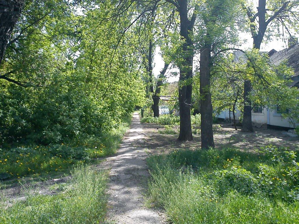 Новополтавка з panoramio.com - Новополтавка