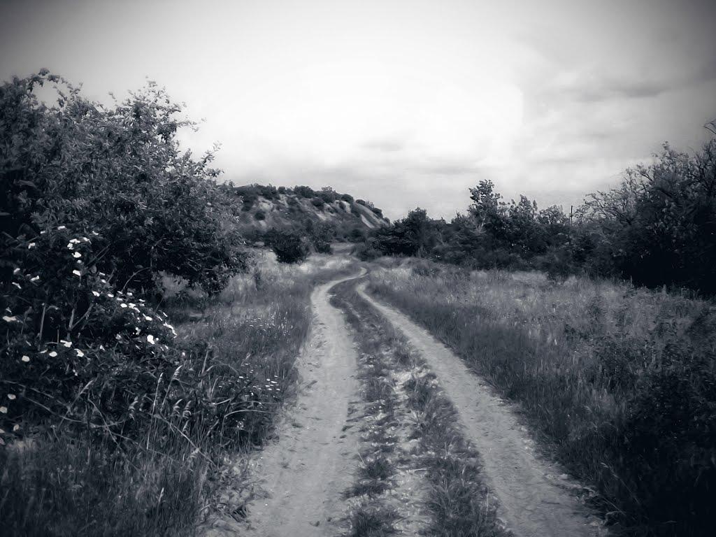 Рибаче з panoramio.com (ч.2) - Рибаче