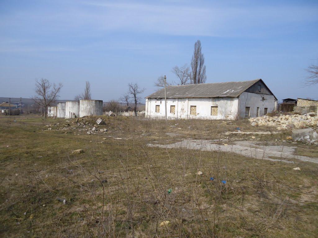 Комінтернівське з panoramio.com - Комінтернівське