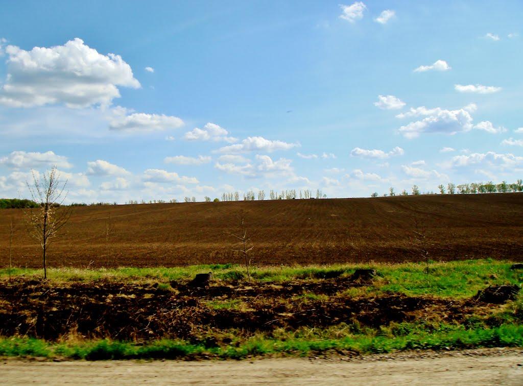 Гудзівка з panoramio.com - Гудзовка