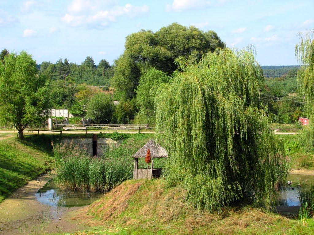 Козулька з panoramio.com - Козулька