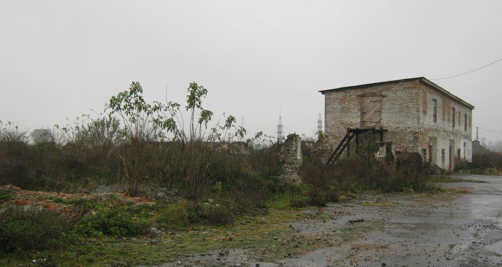 Крилів з panoramio.com - Крилів