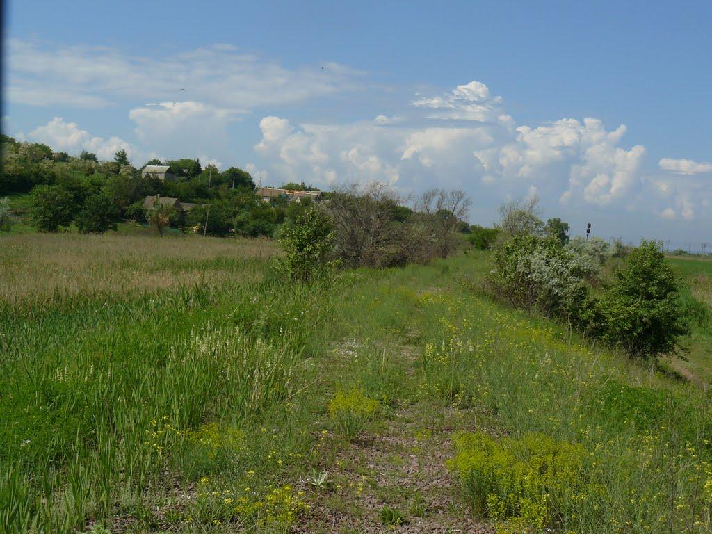 Плавні з panoramio.com - Плавни