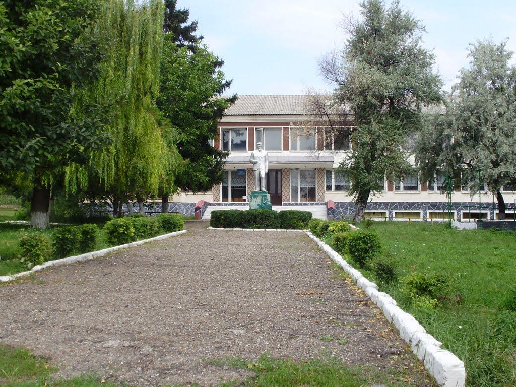 Дмитрашківка з panoramio.com - Дмитрашківка