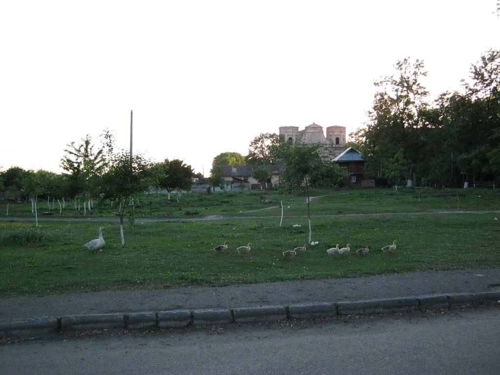 Угнів з panoramio.com - Угнів