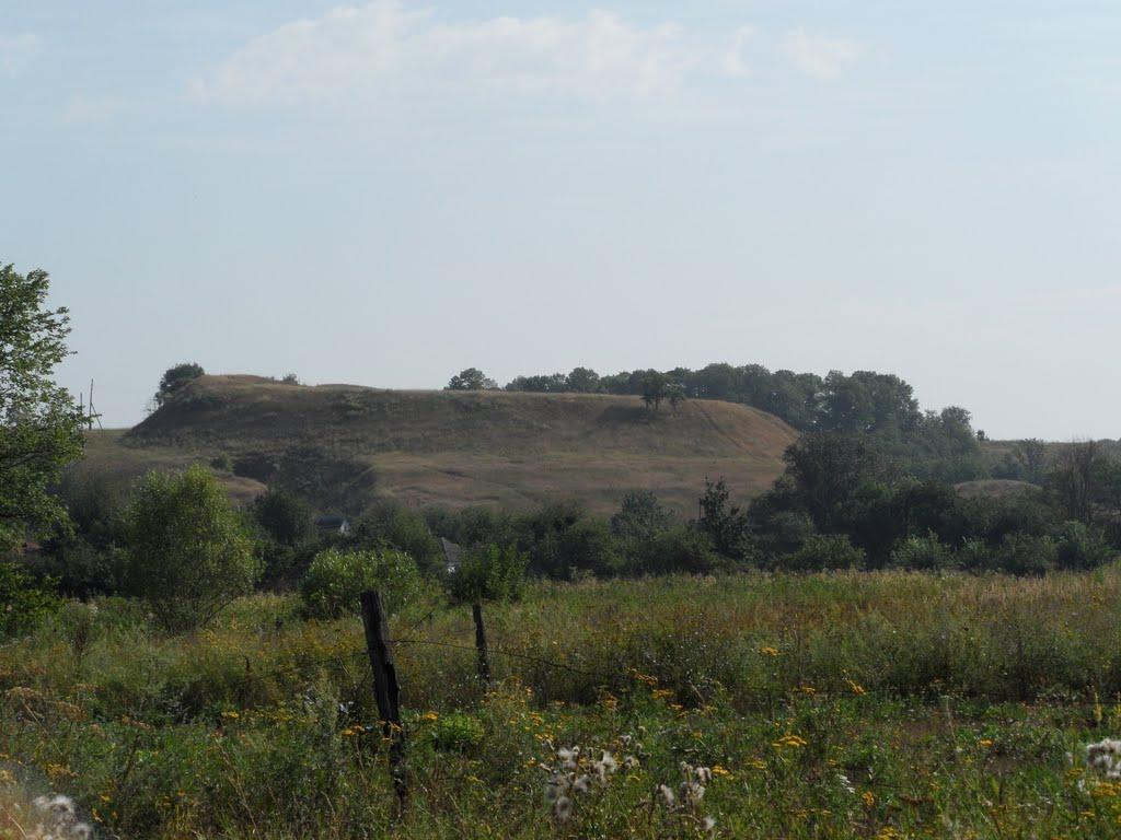 Литовка з panoramio.com - Литовка