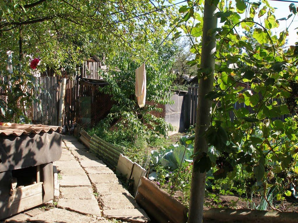 Сєверне з panoramio.com - Сєверне