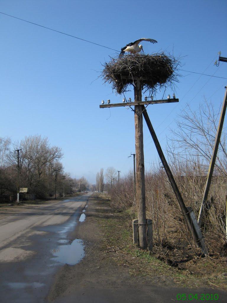 Базаліївка з panoramio.com - Базаліївка
