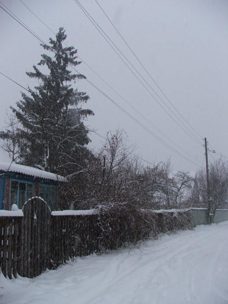 Буча з panoramio.com - Буча