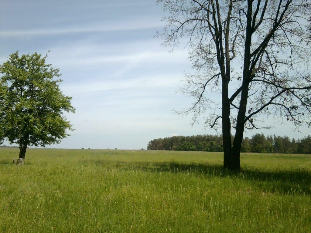 Шостка з panoramio.com - Шостка