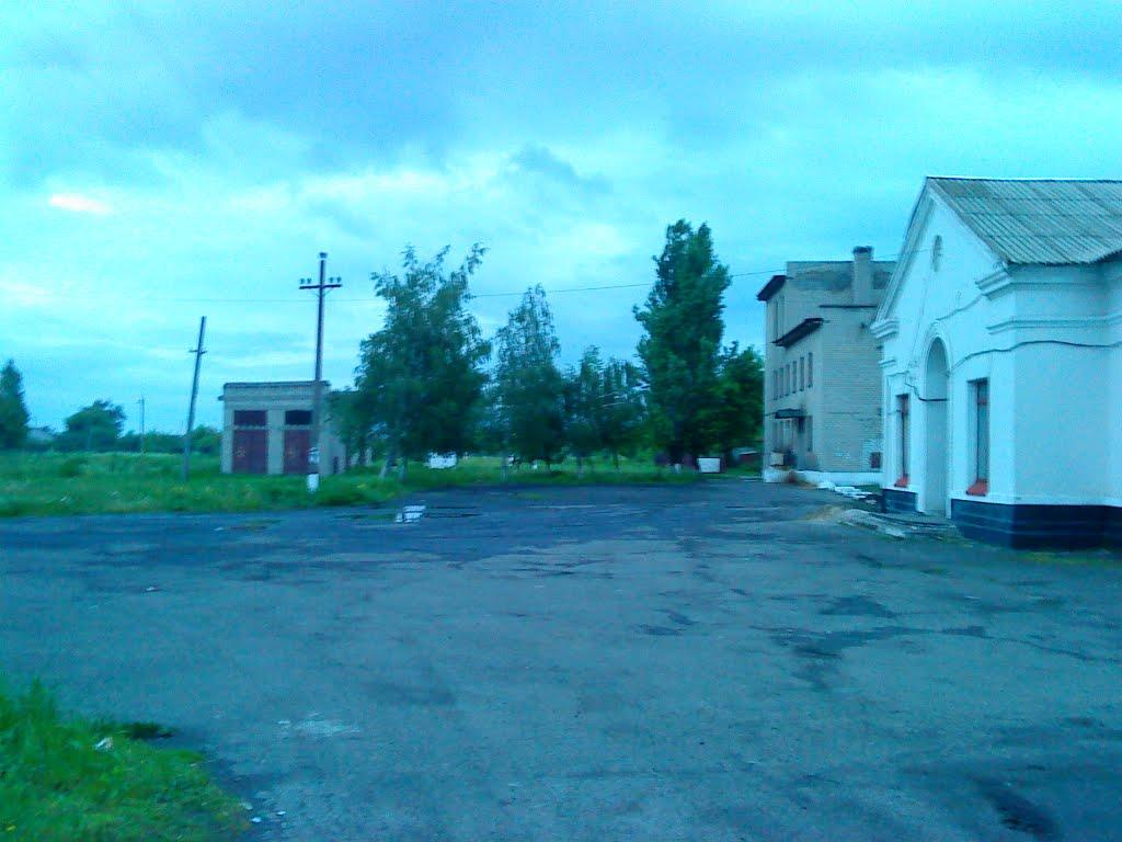 Чорнухине з panoramio.com - Чорнухине