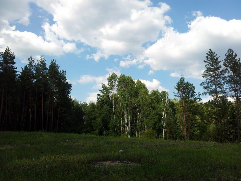 Діброва з panoramio.com - Диброва