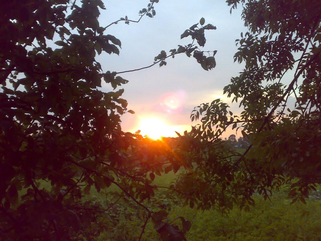 Меленці з panoramio.com - Меленці