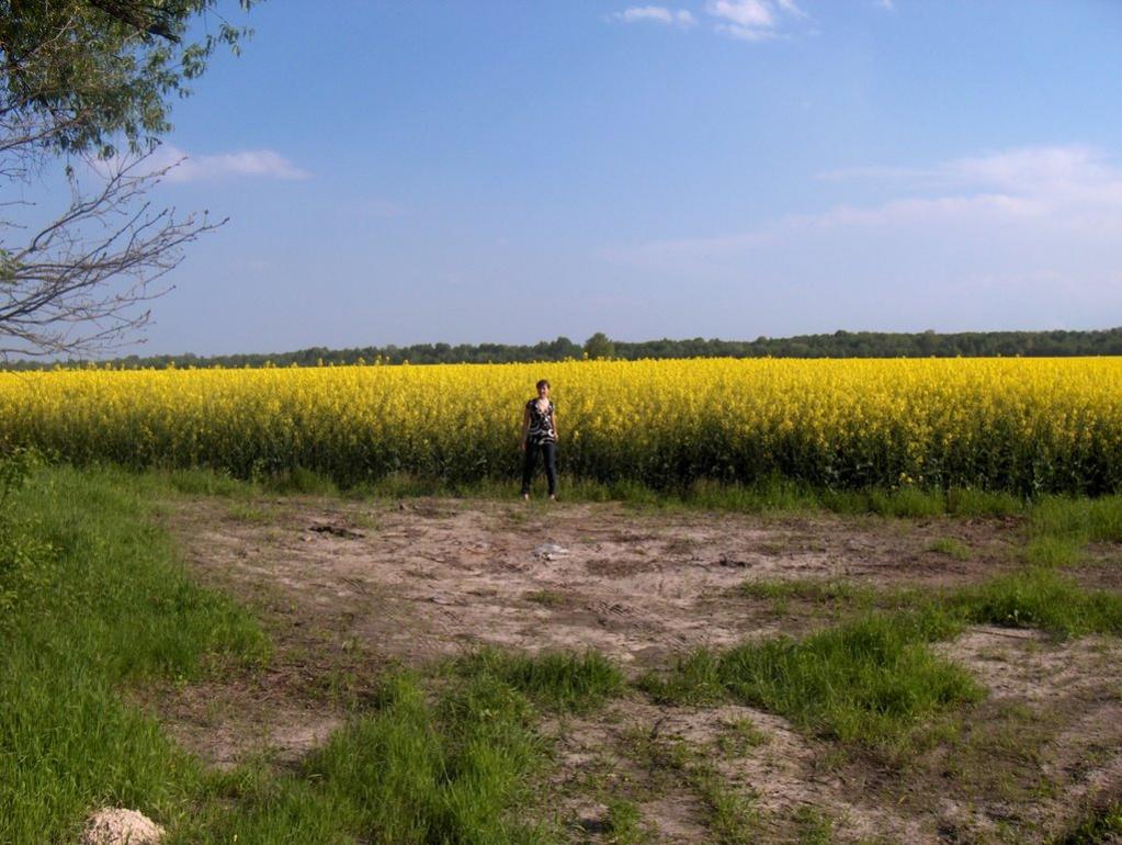 Кам'янка-Бузька з panoramio.com - Каменка-Бугская