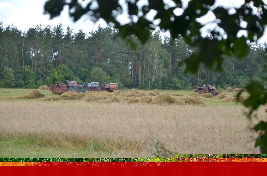 Баранівка з panoramio.com - Баранівка