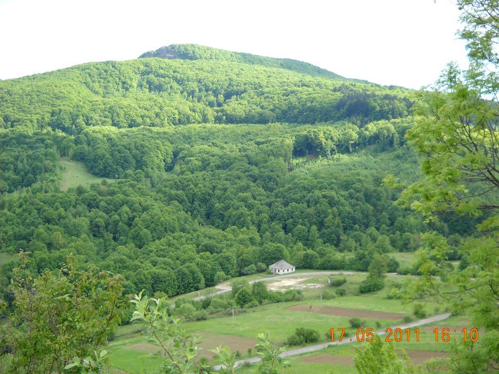 Широкий Луг з panoramio.com - Широкий Луг