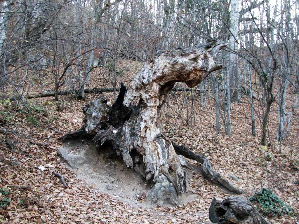 Соколине з panoramio.com (ч.2) - Соколиное