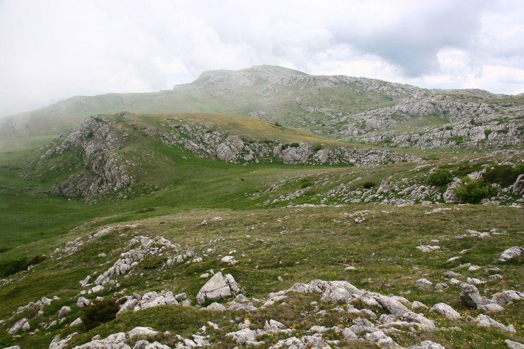 Розовий з panoramio.com (ч.2) - Розовий