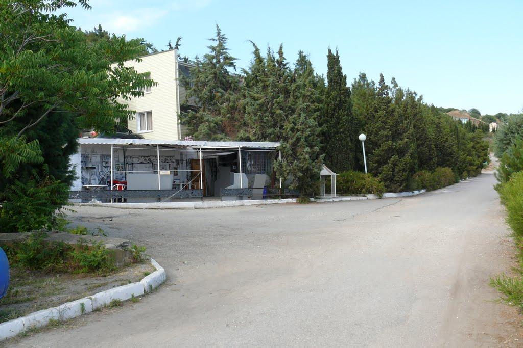 Привітне з panoramio.com (ч.2) - Привітне