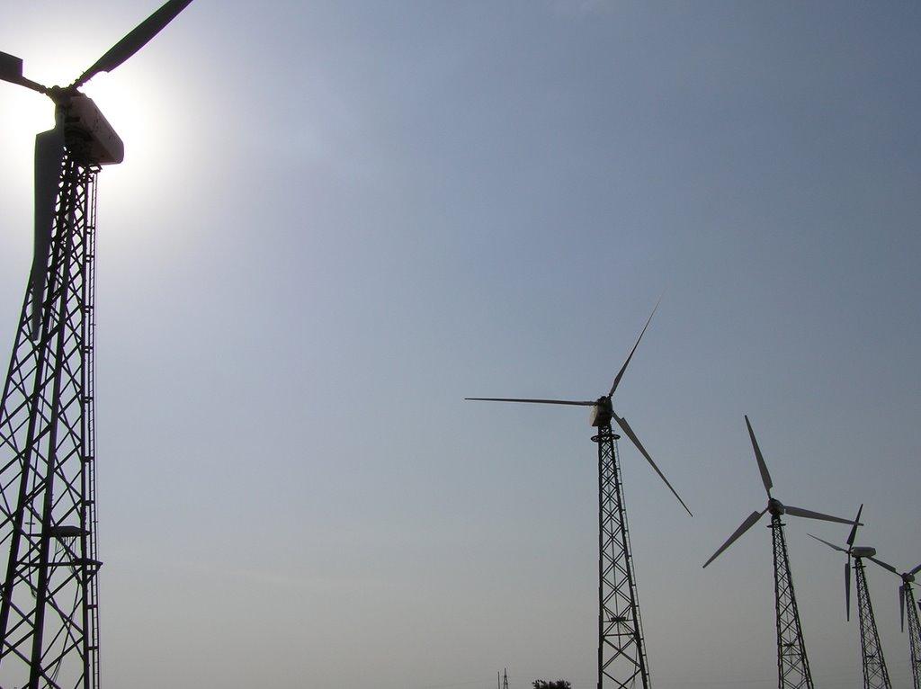 Криловка з panoramio.com - Криловка