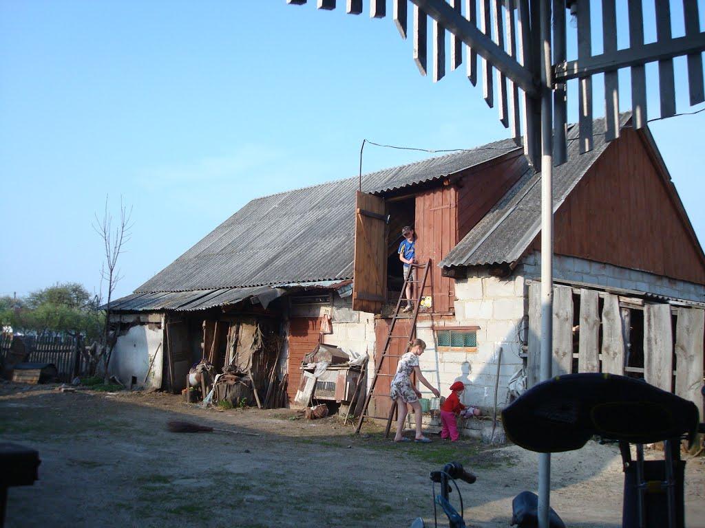 Дроздні з panoramio.com - Дроздні