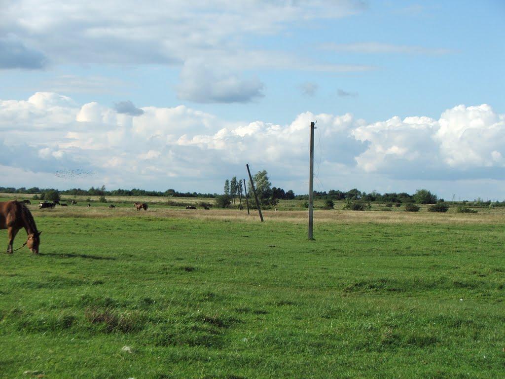 Великий Любінь з panoramio.com - Velykyy Lyubin