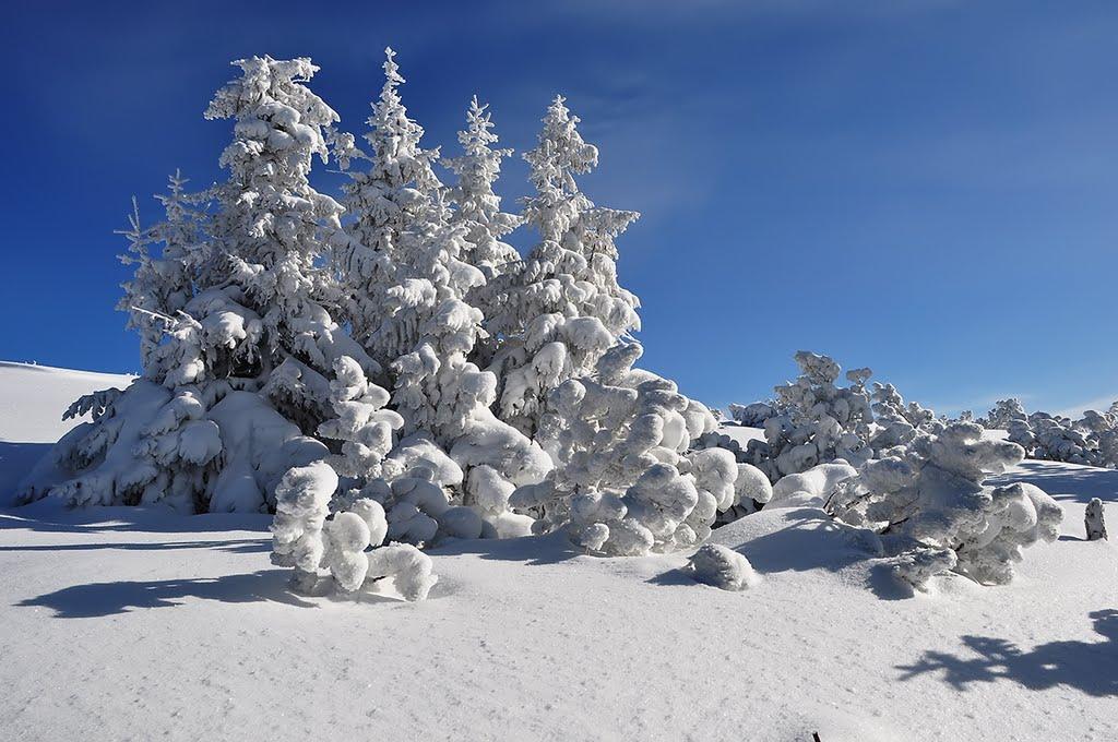Осмолода з panoramio.com (ч.2) - Осмолода