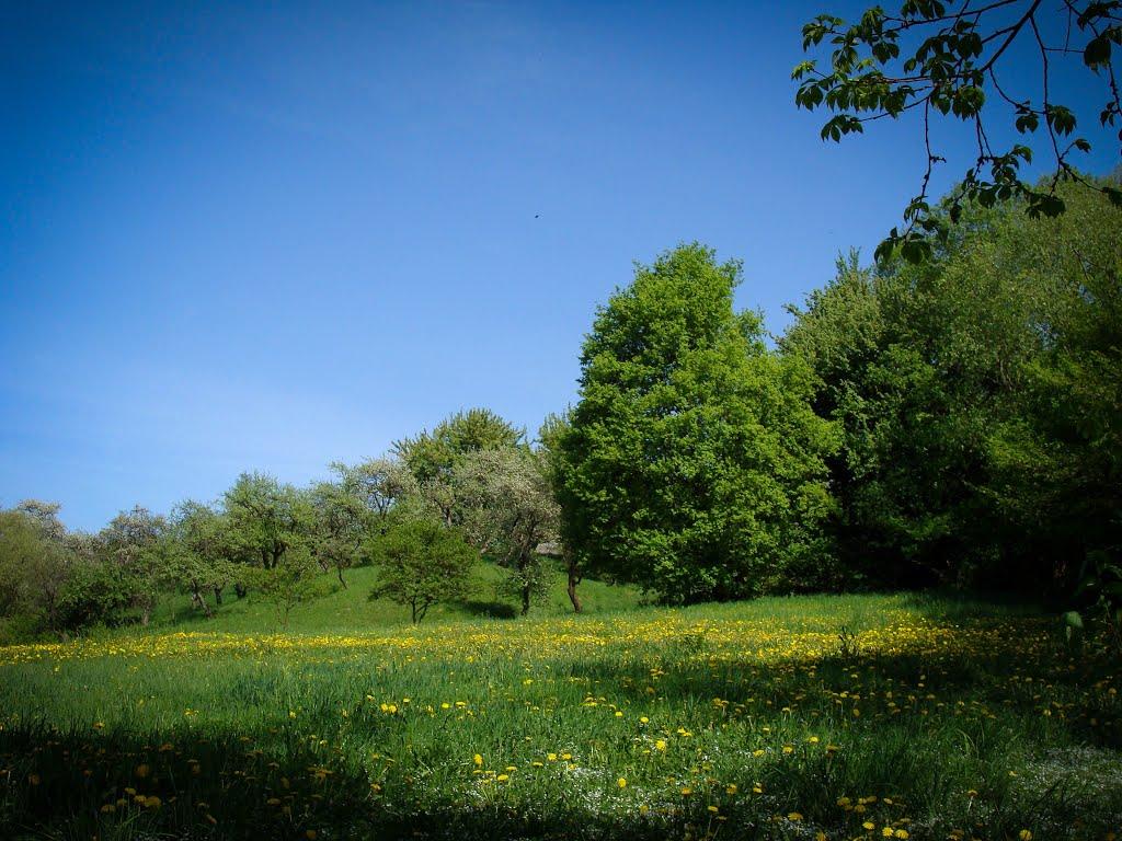 Калуш з panoramio.com (ч.2) - Калуш