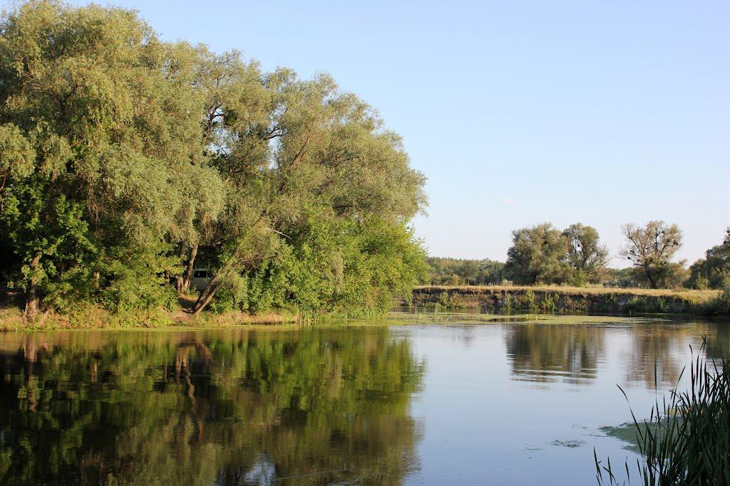 Мохнач з panoramio.com - Мохнач