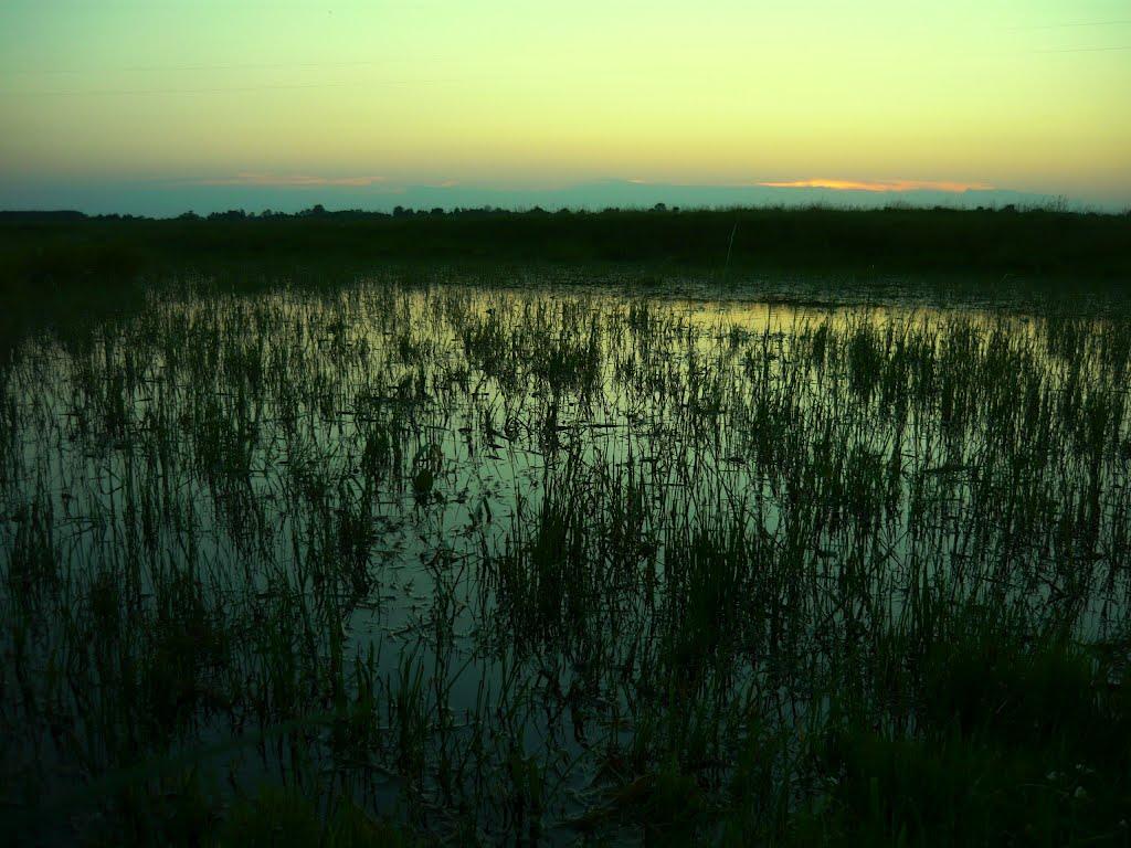 Нехаївка з panoramio.com - Nekhayivka