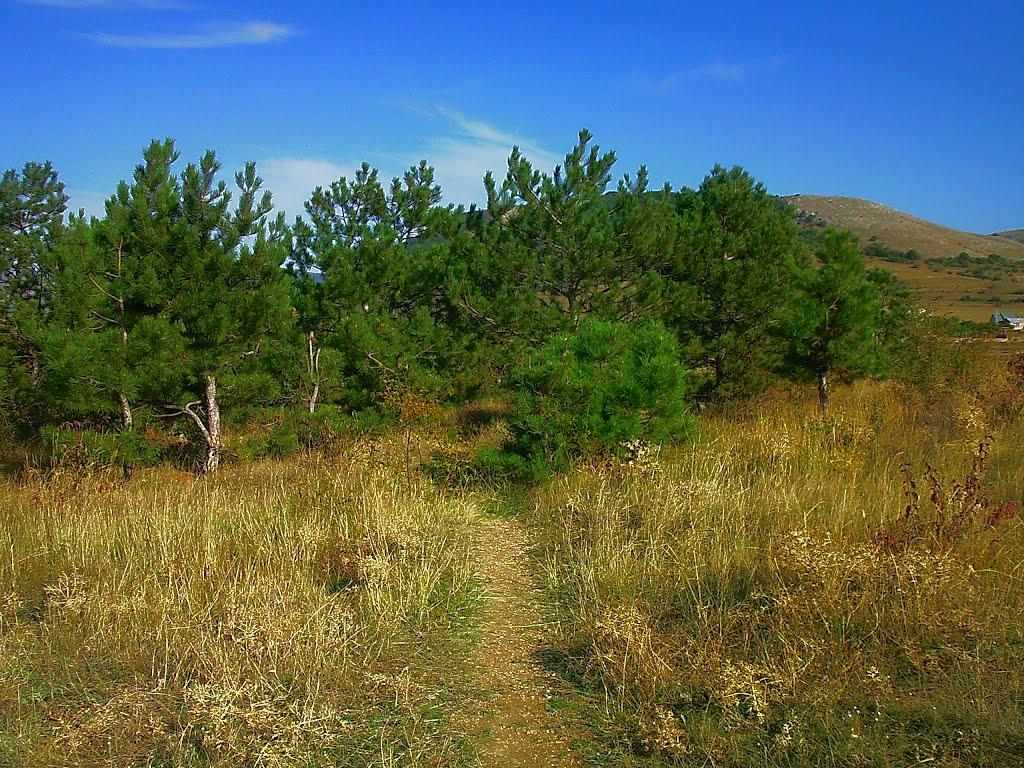 Мраморне з panoramio.com (ч.2) - Мраморное