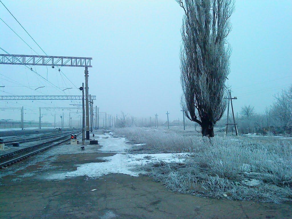 Чорнухине з panoramio.com - Чорнухине