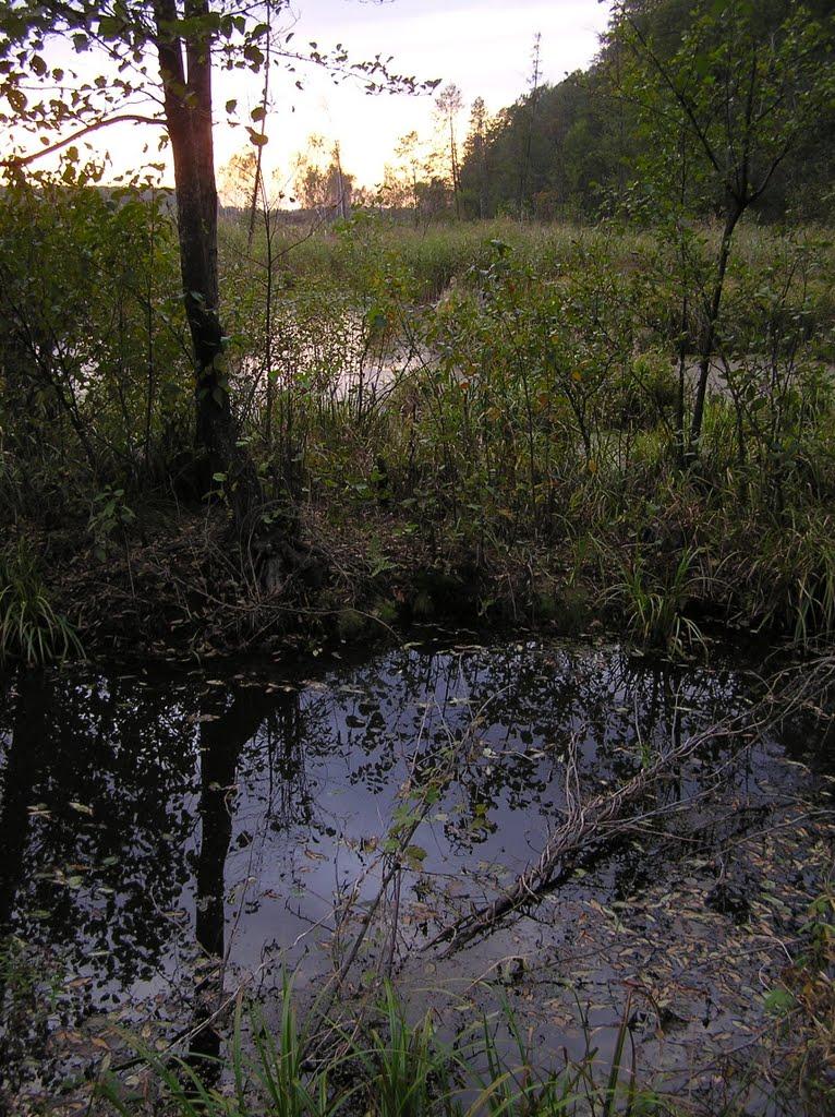 Горщик з panoramio.com - Горщик